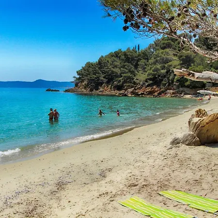 Lavande Le Lavandou